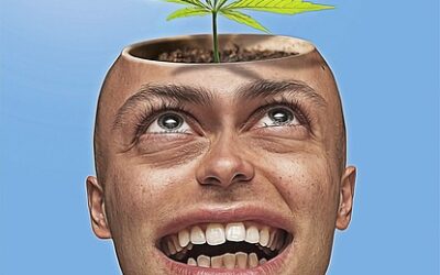 Bericht in der „Welt“ zum Thema Freigabe von Cannabis