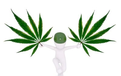 Eckpunktepapier zur kontrollierten Cannabis-Abgabe