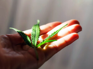 Legalisierung Luxemburg | © 2024 tanitost